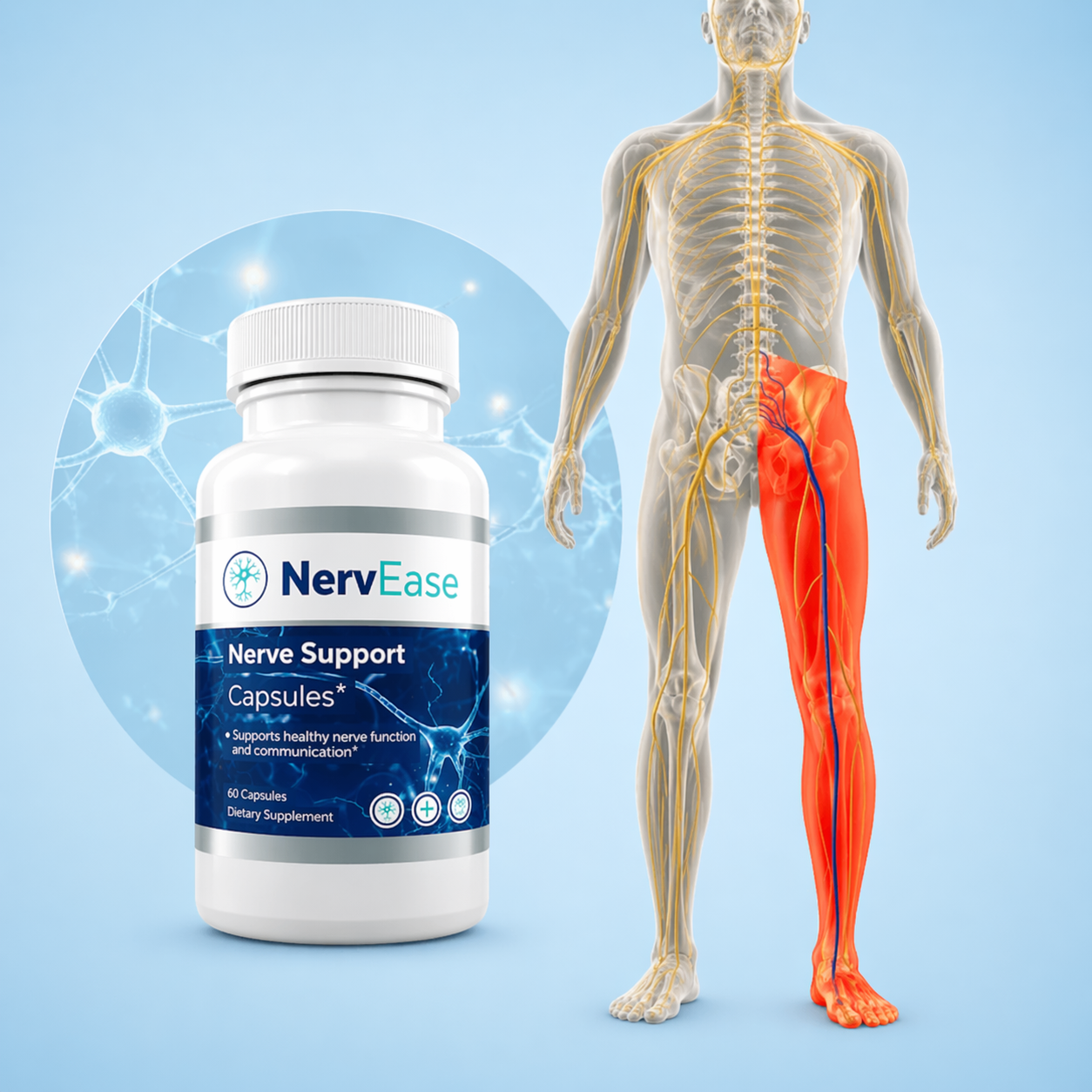 Sciatic Nerve Support